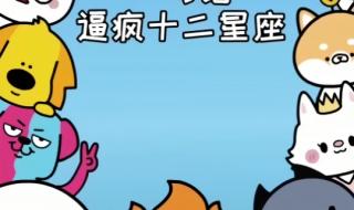 狗都不谈的四大星座 狗都不谈的四大星座