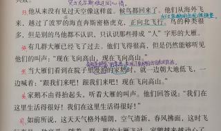 骑鹅旅行记课堂笔记